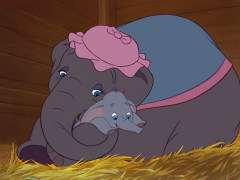 dumbo 1 စာရင်း